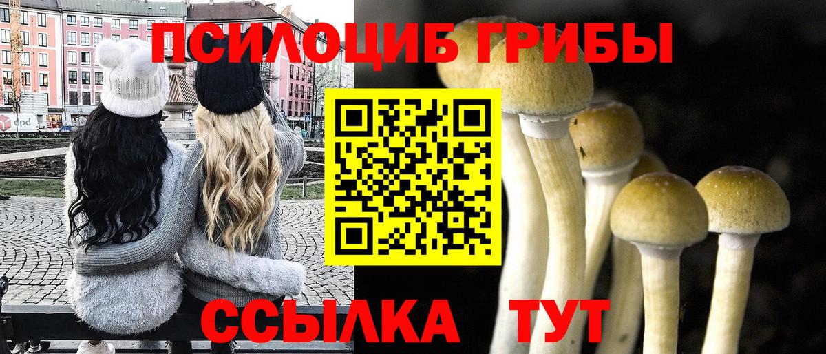 Галлюциногенные грибы ЛСД Волжск