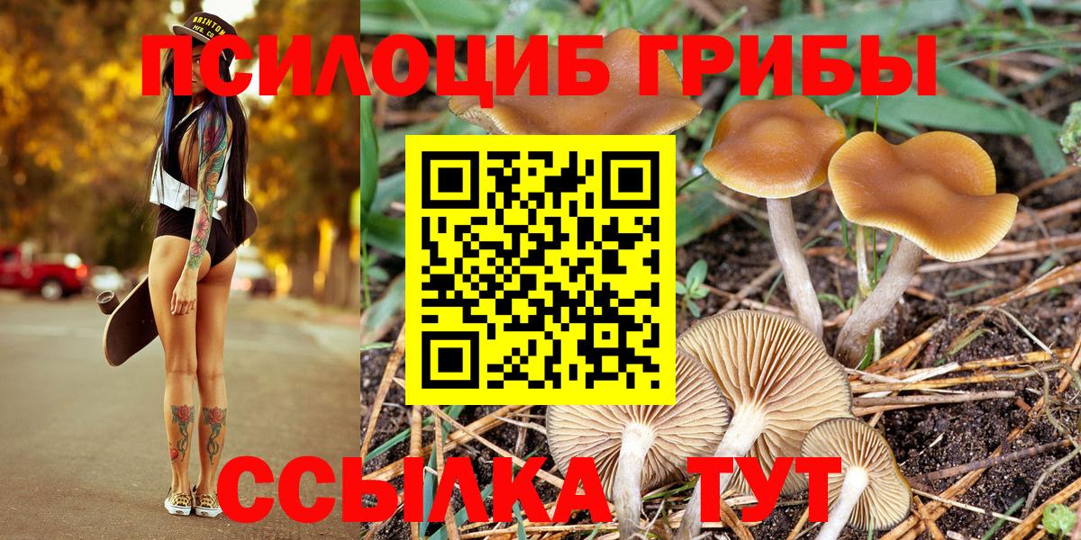 Волжск  Галлюциногенные грибы MAGIC MUSHROOMS  Галлюциногенные грибы мухоморы  Вход с VPN 